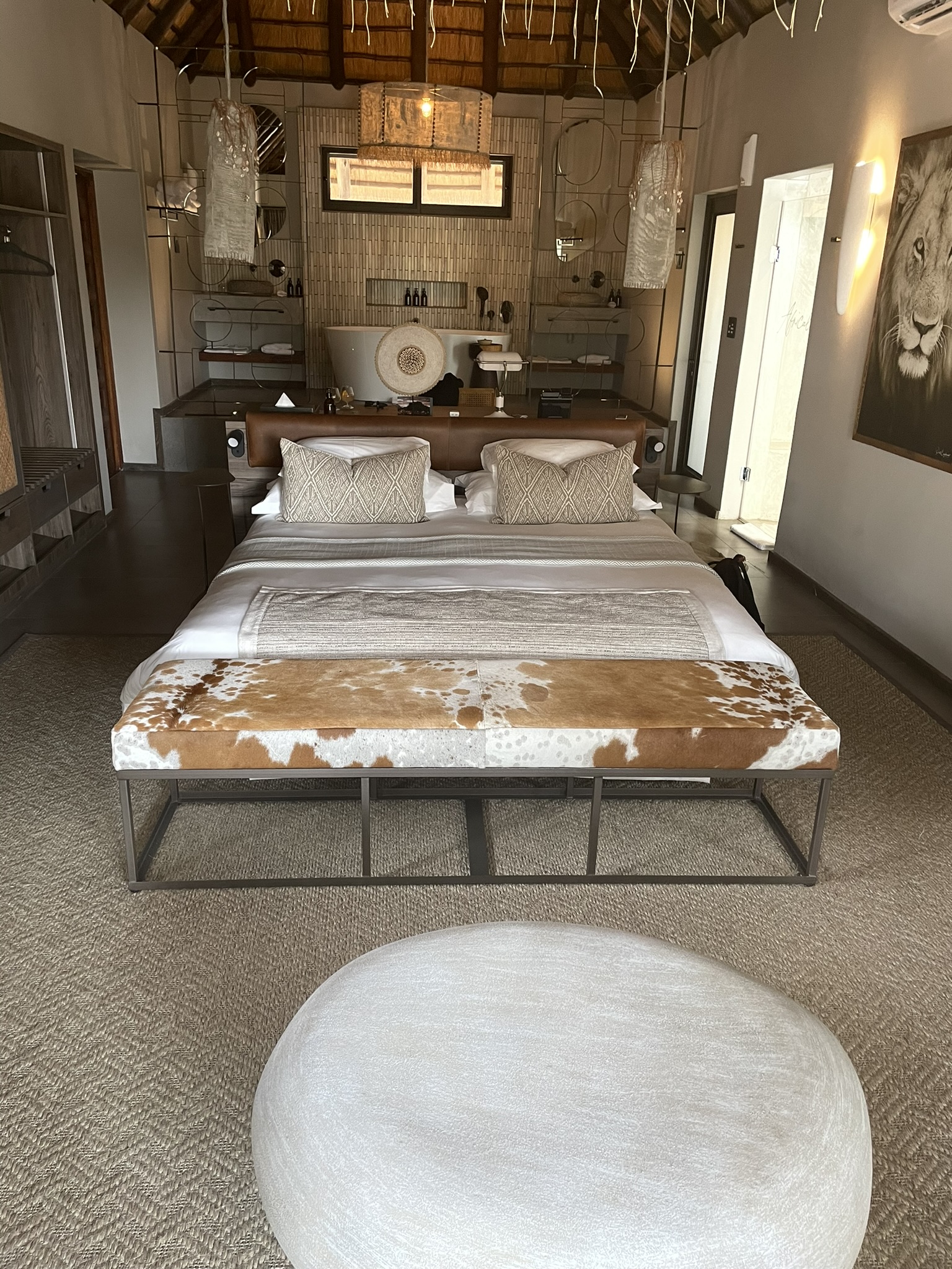 Timbavati Private Nature Reserve, South Africa